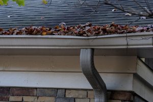 4 Signs You Need to Schedule Professional Gutter Cleaning Services