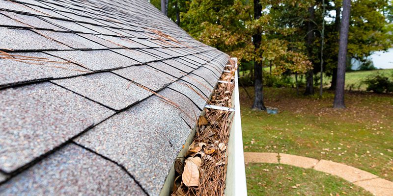 How Often Should I Have Roofing Maintenance?