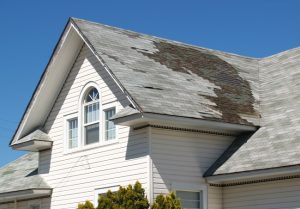Why You Should Leave Roofing Repair to the Professionals