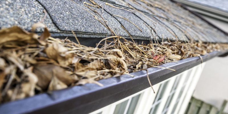 Why Gutter Cleaning is an Essential Part of Roof Maintenance