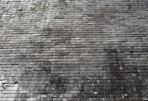 Why Roof Cleaning Should Be a Top Priority This Spring