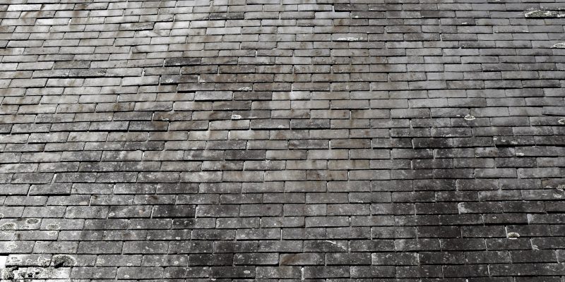 Why Roof Cleaning Should Be a Top Priority This Spring