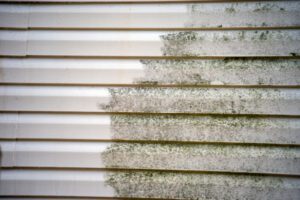 Why Professional Siding Cleaning Services Are Important