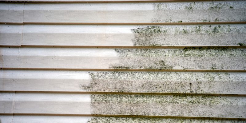 Why Professional Siding Cleaning Services Are Important